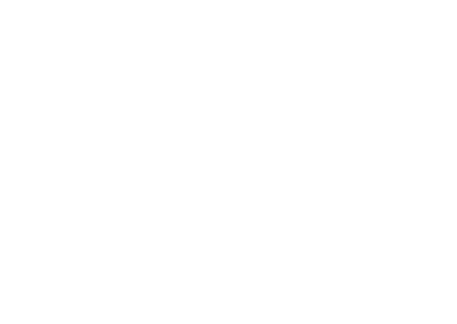 Japan Electronics logo